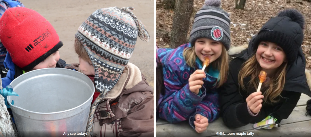 体验传统枫叶国古老制糖:多伦多周边值得去打卡的枫糖节盘点! 体验传统枫叶国古老制糖:多伦多周边值得去打卡的枫糖节盘点!