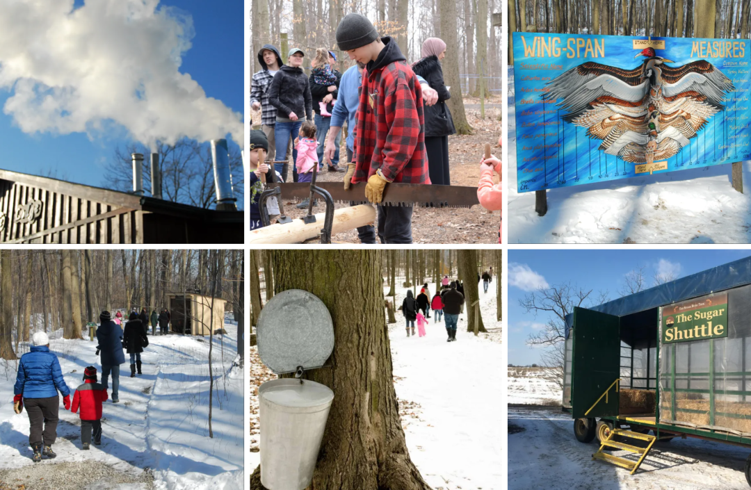 体验传统枫叶国古老制糖:多伦多周边值得去打卡的枫糖节盘点! 体验传统枫叶国古老制糖:多伦多周边值得去打卡的枫糖节盘点!