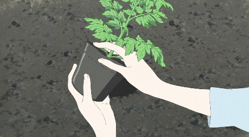没点知识储备都玩不了泥巴！育苗、养花、种菜、种草都要用哪种土？