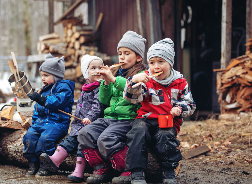 体验传统枫叶国古老制糖:多伦多周边值得去打卡的枫糖节盘点! 体验传统枫叶国古老制糖:多伦多周边值得去打卡的枫糖节盘点!