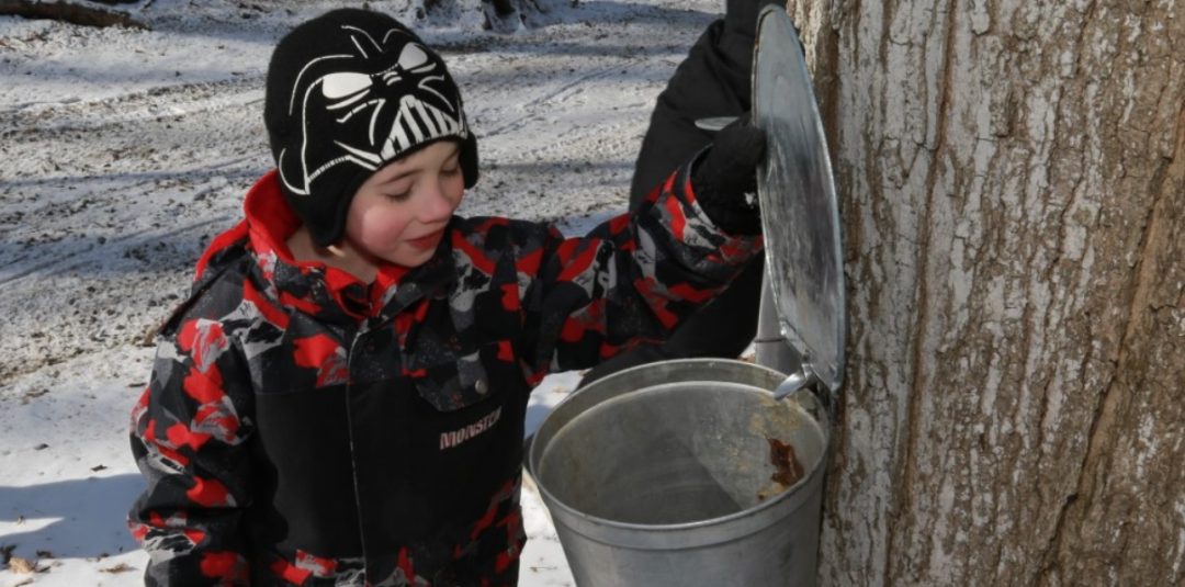 体验传统枫叶国古老制糖:多伦多周边值得去打卡的枫糖节盘点! 体验传统枫叶国古老制糖:多伦多周边值得去打卡的枫糖节盘点!