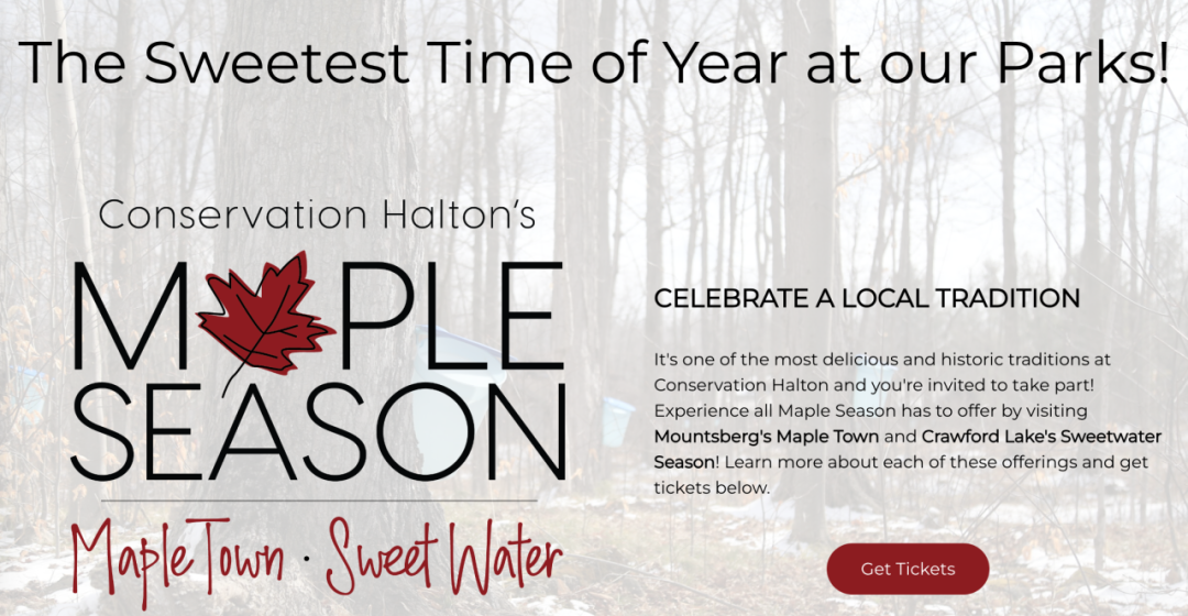 体验传统枫叶国古老制糖:多伦多周边值得去打卡的枫糖节盘点! 体验传统枫叶国古老制糖:多伦多周边值得去打卡的枫糖节盘点!