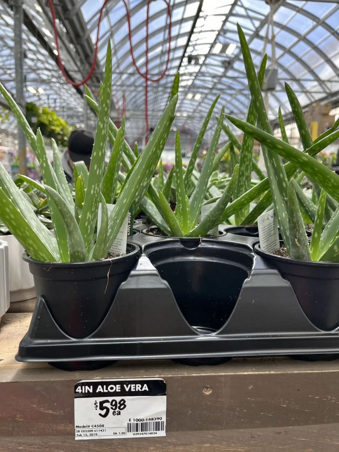 实拍Home Depot园艺区:养花种菜没有天赋实力,全靠老天爷赏饭吃~ 实拍Home Depot园艺区:养花种菜没有天赋实力,全靠老天爷赏饭吃~