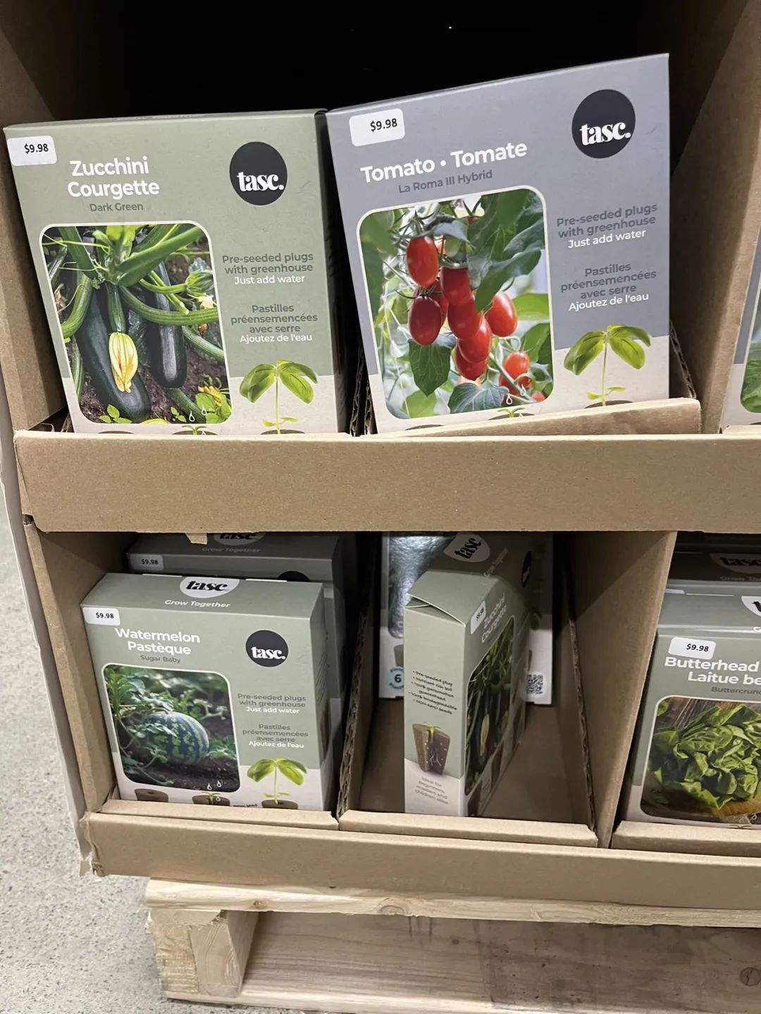 实拍Home Depot园艺区:养花种菜没有天赋实力,全靠老天爷赏饭吃~ 实拍Home Depot园艺区:养花种菜没有天赋实力,全靠老天爷赏饭吃~