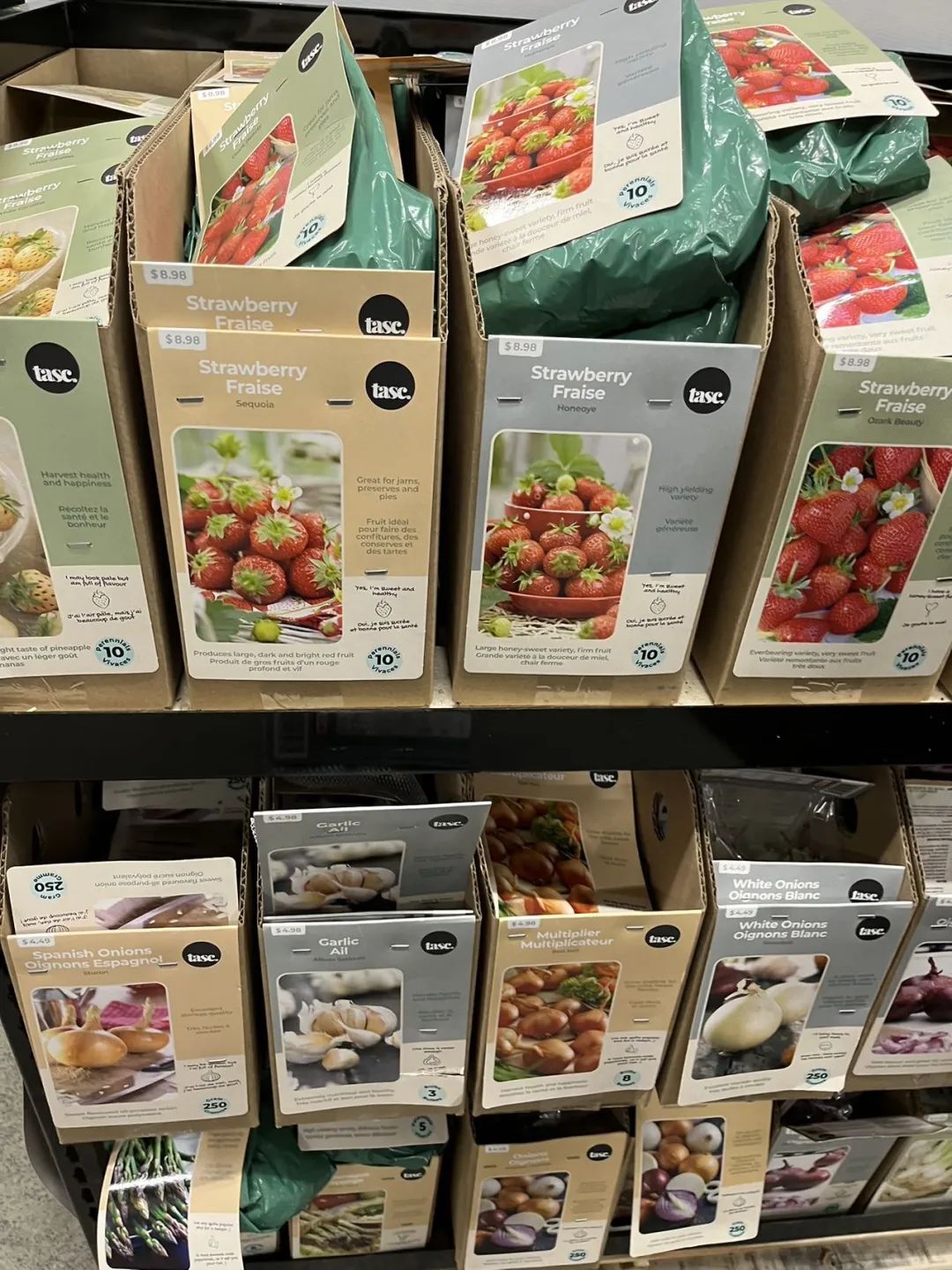 实拍Home Depot园艺区:养花种菜没有天赋实力,全靠老天爷赏饭吃~ 实拍Home Depot园艺区:养花种菜没有天赋实力,全靠老天爷赏饭吃~