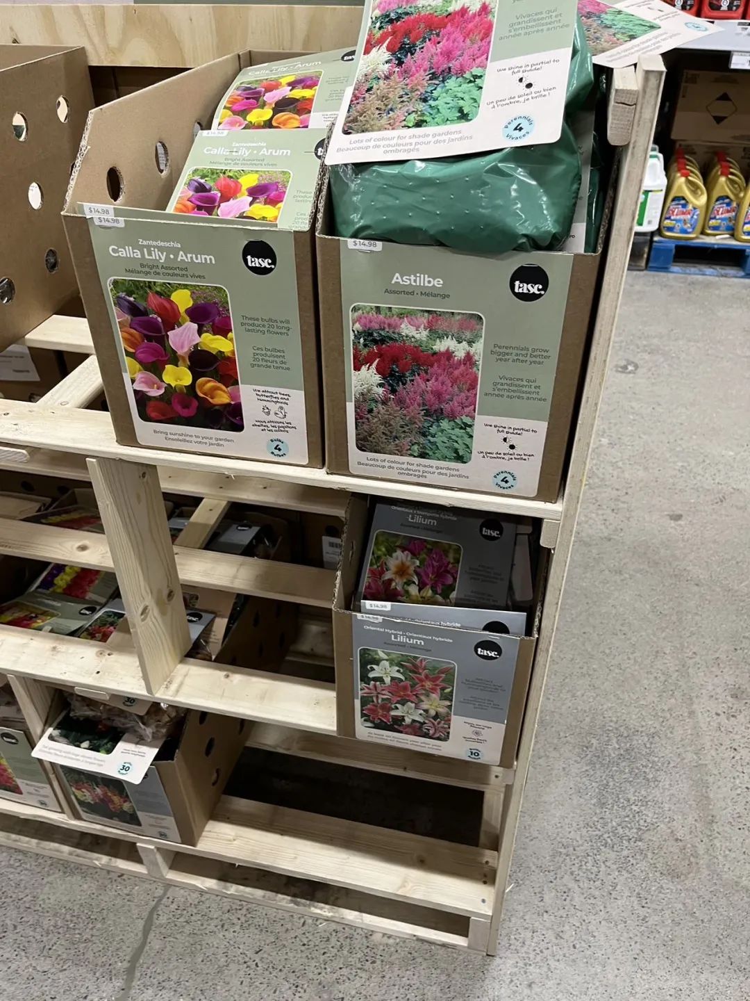 实拍Home Depot园艺区:养花种菜没有天赋实力,全靠老天爷赏饭吃~ 实拍Home Depot园艺区:养花种菜没有天赋实力,全靠老天爷赏饭吃~