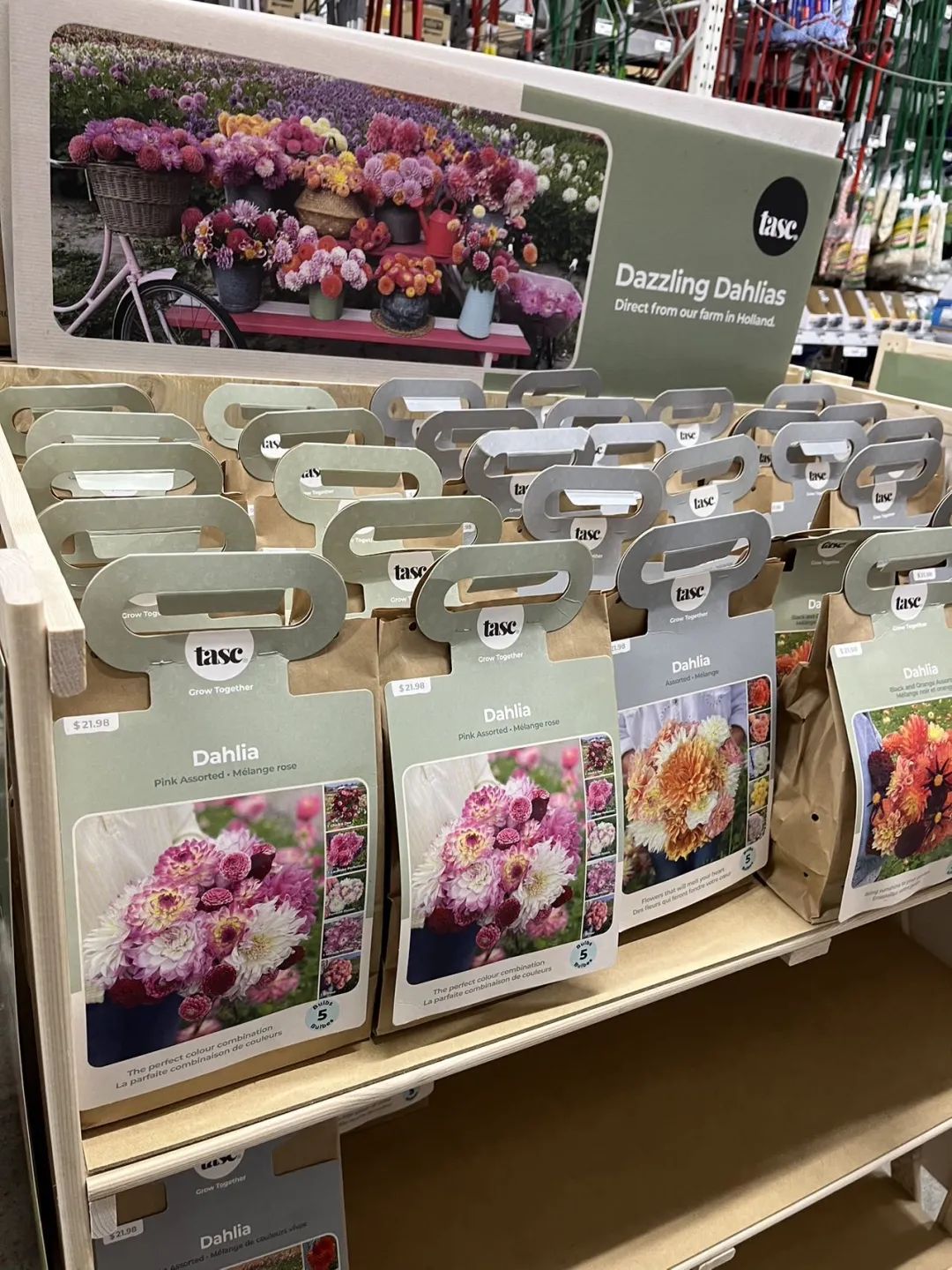实拍Home Depot园艺区:养花种菜没有天赋实力,全靠老天爷赏饭吃~ 实拍Home Depot园艺区:养花种菜没有天赋实力,全靠老天爷赏饭吃~