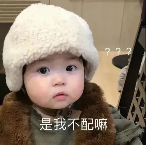 拼手速薅政府羊毛!约克区专属福利:超便宜买花、买树、买桶 拼手速薅政府羊毛!约克区专属福利:超便宜买花、买树、买桶