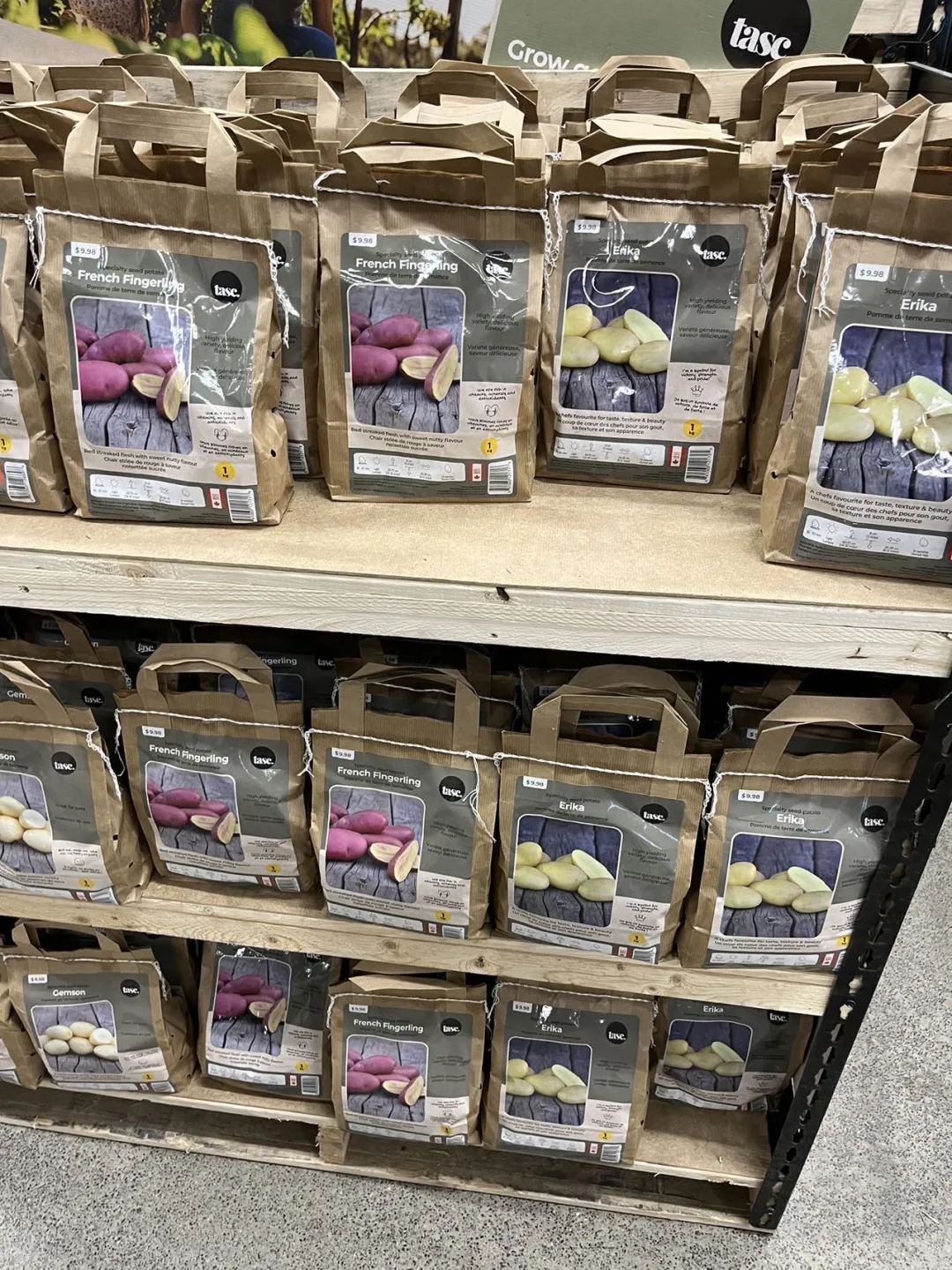 实拍Home Depot园艺区:养花种菜没有天赋实力,全靠老天爷赏饭吃~ 实拍Home Depot园艺区:养花种菜没有天赋实力,全靠老天爷赏饭吃~