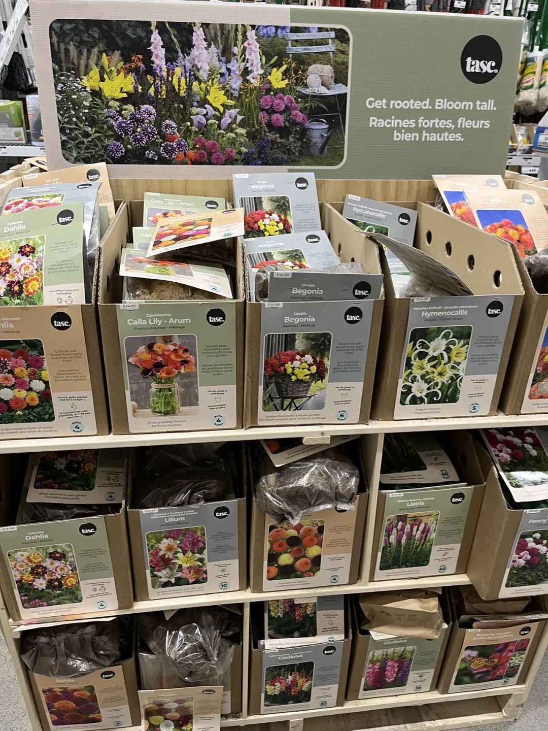 实拍Home Depot园艺区:养花种菜没有天赋实力,全靠老天爷赏饭吃~ 实拍Home Depot园艺区:养花种菜没有天赋实力,全靠老天爷赏饭吃~