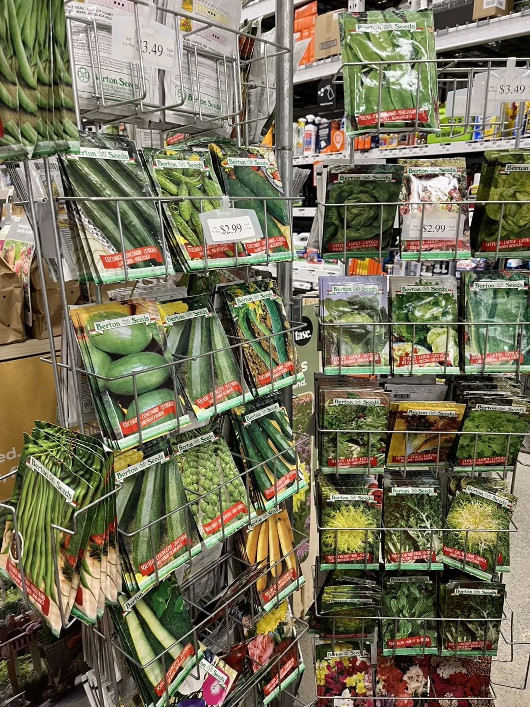 实拍Home Depot园艺区:养花种菜没有天赋实力,全靠老天爷赏饭吃~ 实拍Home Depot园艺区:养花种菜没有天赋实力,全靠老天爷赏饭吃~