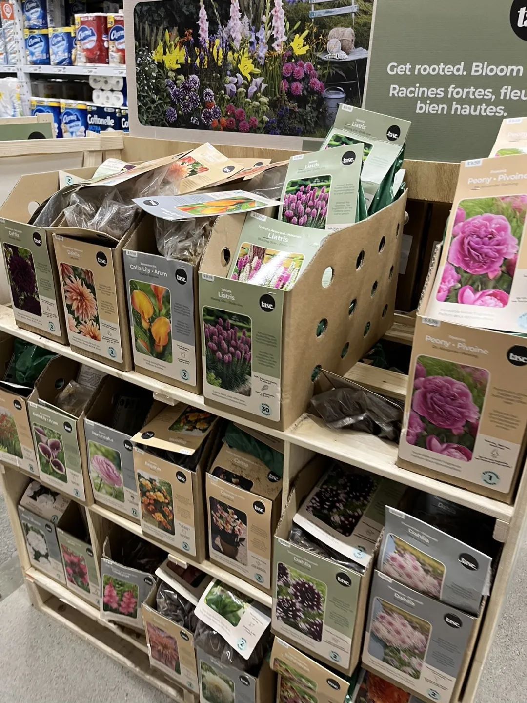 实拍Home Depot园艺区:养花种菜没有天赋实力,全靠老天爷赏饭吃~ 实拍Home Depot园艺区:养花种菜没有天赋实力,全靠老天爷赏饭吃~