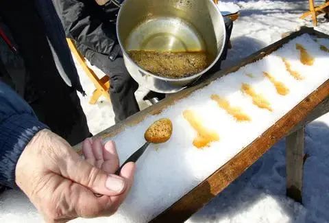 枫糖节打卡末班车！体验加拿大传统古法制糖：复活节甜度超标了