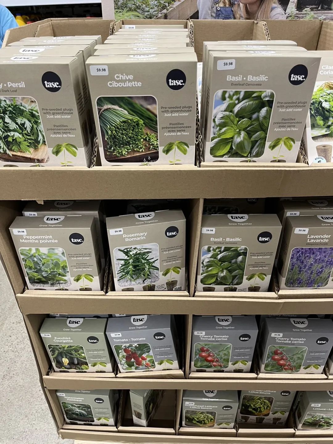 实拍Home Depot园艺区:养花种菜没有天赋实力,全靠老天爷赏饭吃~ 实拍Home Depot园艺区:养花种菜没有天赋实力,全靠老天爷赏饭吃~