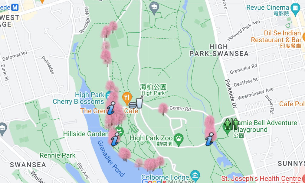 早开花?HighPark樱花季预测公布:盘一盘多伦多可以赏樱的公园 早开花?HighPark樱花季预测公布:盘一盘多伦多可以赏樱的公园