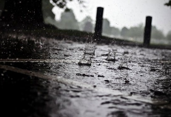 离谱了!多伦多要征收“下雨税”!市民狂吐槽:坐等呼吸空气税 离谱了!多伦多要征收“下雨税”!市民狂吐槽:坐等呼吸空气税