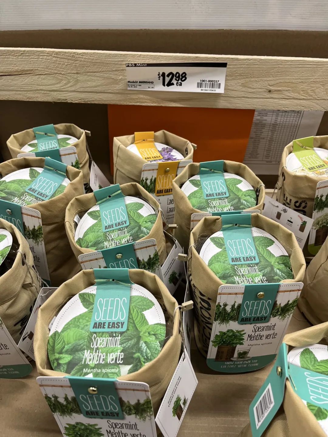 实拍Home Depot园艺区:养花种菜没有天赋实力,全靠老天爷赏饭吃~ 实拍Home Depot园艺区:养花种菜没有天赋实力,全靠老天爷赏饭吃~