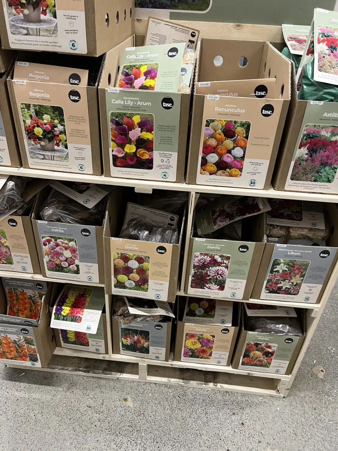 实拍Home Depot园艺区:养花种菜没有天赋实力,全靠老天爷赏饭吃~ 实拍Home Depot园艺区:养花种菜没有天赋实力,全靠老天爷赏饭吃~