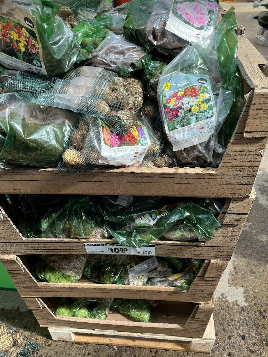 实拍Home Depot园艺区:养花种菜没有天赋实力,全靠老天爷赏饭吃~ 实拍Home Depot园艺区:养花种菜没有天赋实力,全靠老天爷赏饭吃~