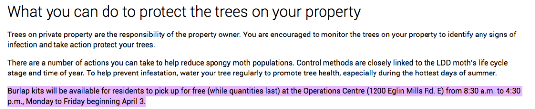 差点原地去世!多伦多今年不撒药了:避免毛毛虫爆发要怎么做? 差点原地去世!多伦多今年不撒药了:避免毛毛虫爆发要怎么做?
