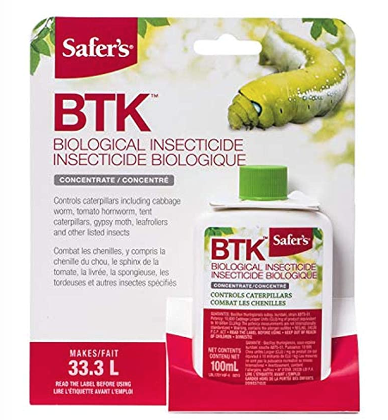 差点原地去世!多伦多今年不撒药了:避免毛毛虫爆发要怎么做? 差点原地去世!多伦多今年不撒药了:避免毛毛虫爆发要怎么做?