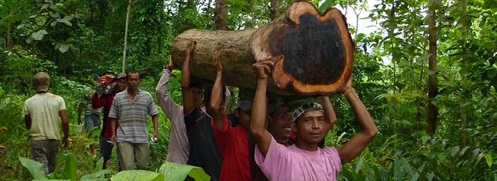 骨折价前所未有！施坦威钢琴厂家直销：仅有四天！