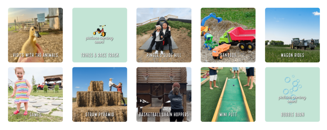 被草莓硬控的6月!盘一盘多伦多摘草莓农场:这谁还分得清是草莓园还是游乐场? 被草莓硬控的6月!盘一盘多伦多摘草莓农场:这谁还分得清是草莓园还是游乐场?