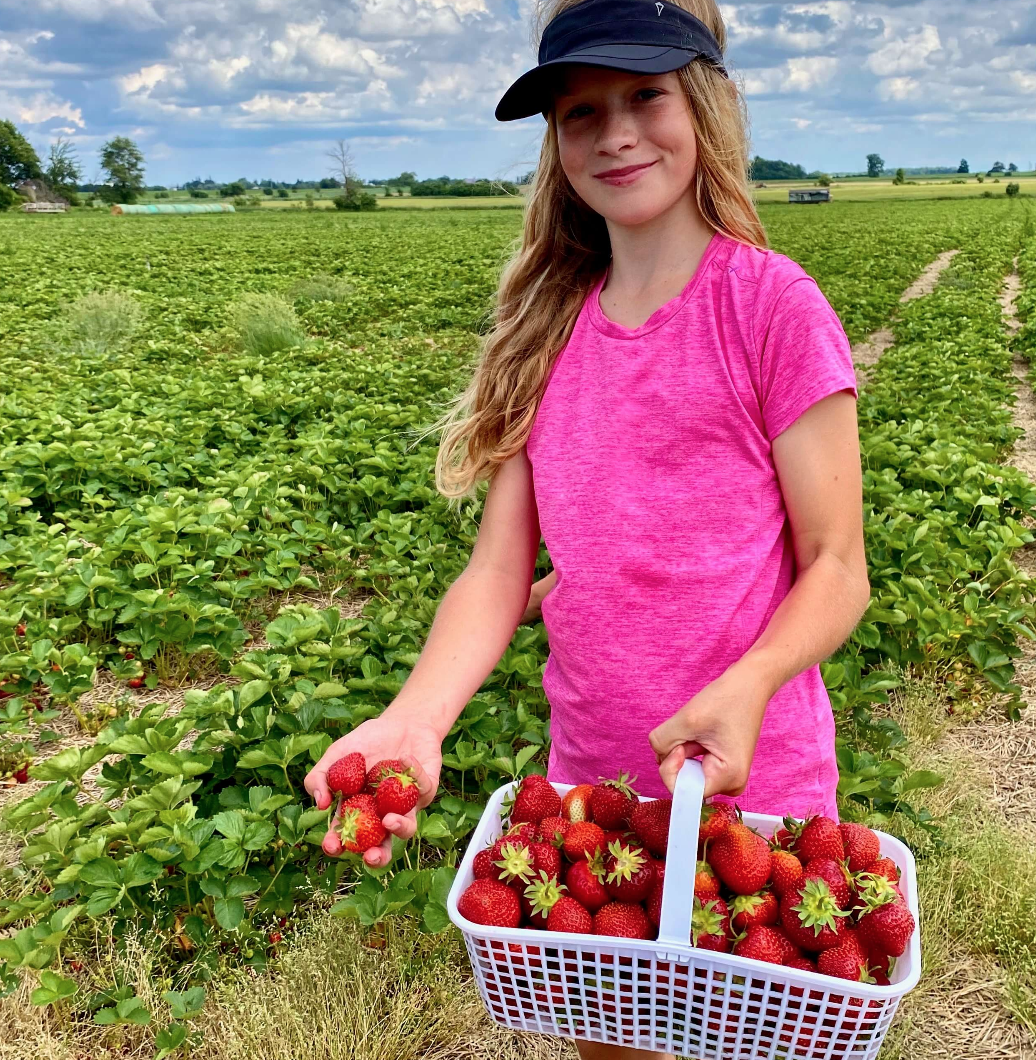 被草莓硬控的6月!盘一盘多伦多摘草莓农场:这谁还分得清是草莓园还是游乐场? 被草莓硬控的6月!盘一盘多伦多摘草莓农场:这谁还分得清是草莓园还是游乐场?