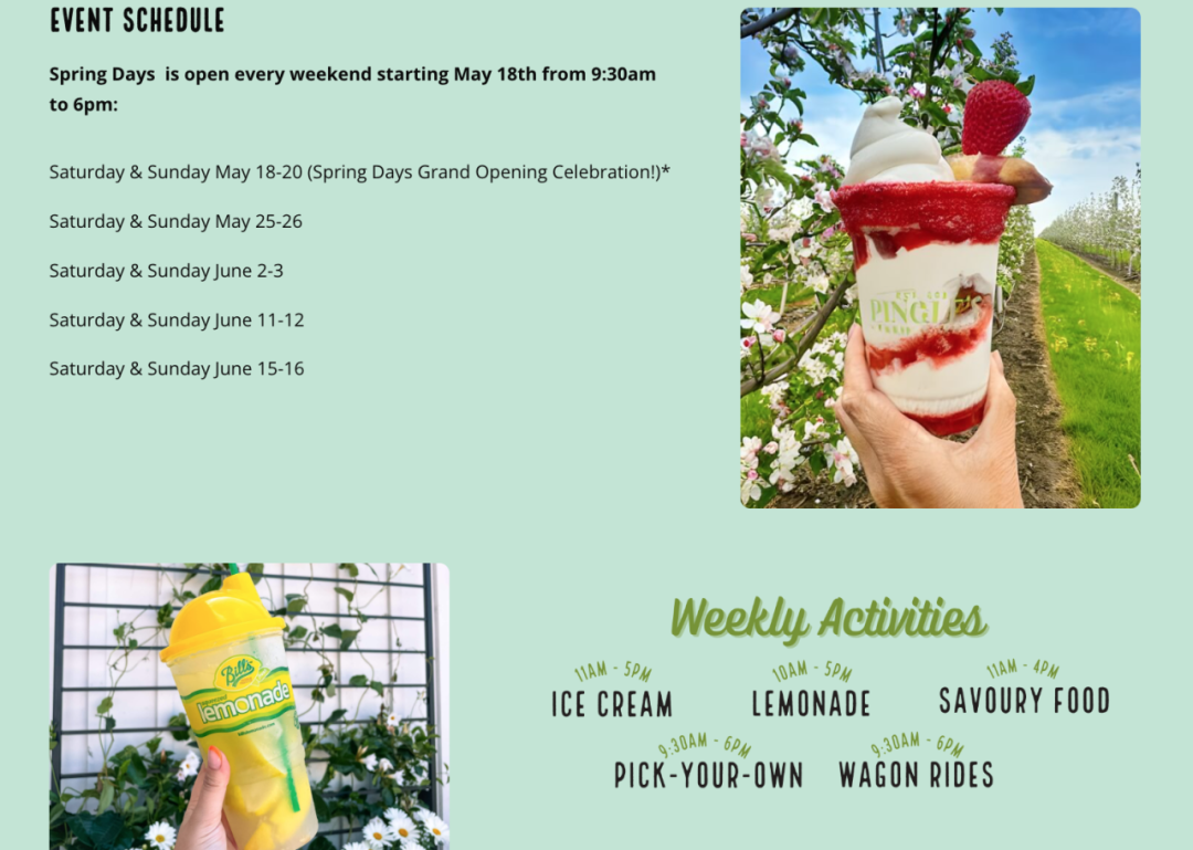 被草莓硬控的6月!盘一盘多伦多摘草莓农场:这谁还分得清是草莓园还是游乐场? 被草莓硬控的6月!盘一盘多伦多摘草莓农场:这谁还分得清是草莓园还是游乐场?