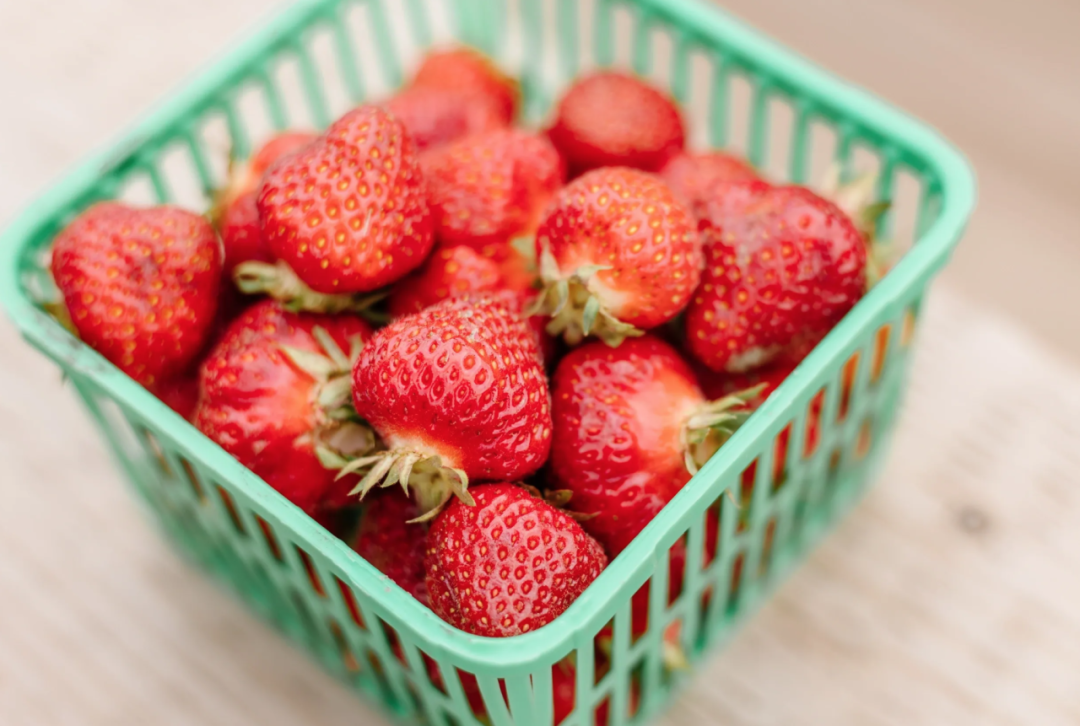 被草莓硬控的6月!盘一盘多伦多摘草莓农场:这谁还分得清是草莓园还是游乐场? 被草莓硬控的6月!盘一盘多伦多摘草莓农场:这谁还分得清是草莓园还是游乐场?