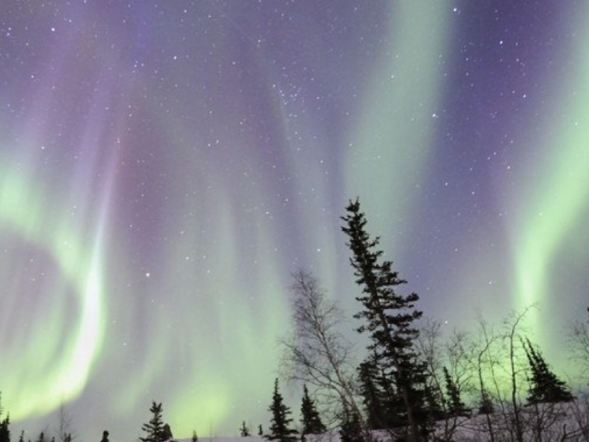 这次肯定能追上！多伦多追光攻略：今晚极光横扫加拿大
