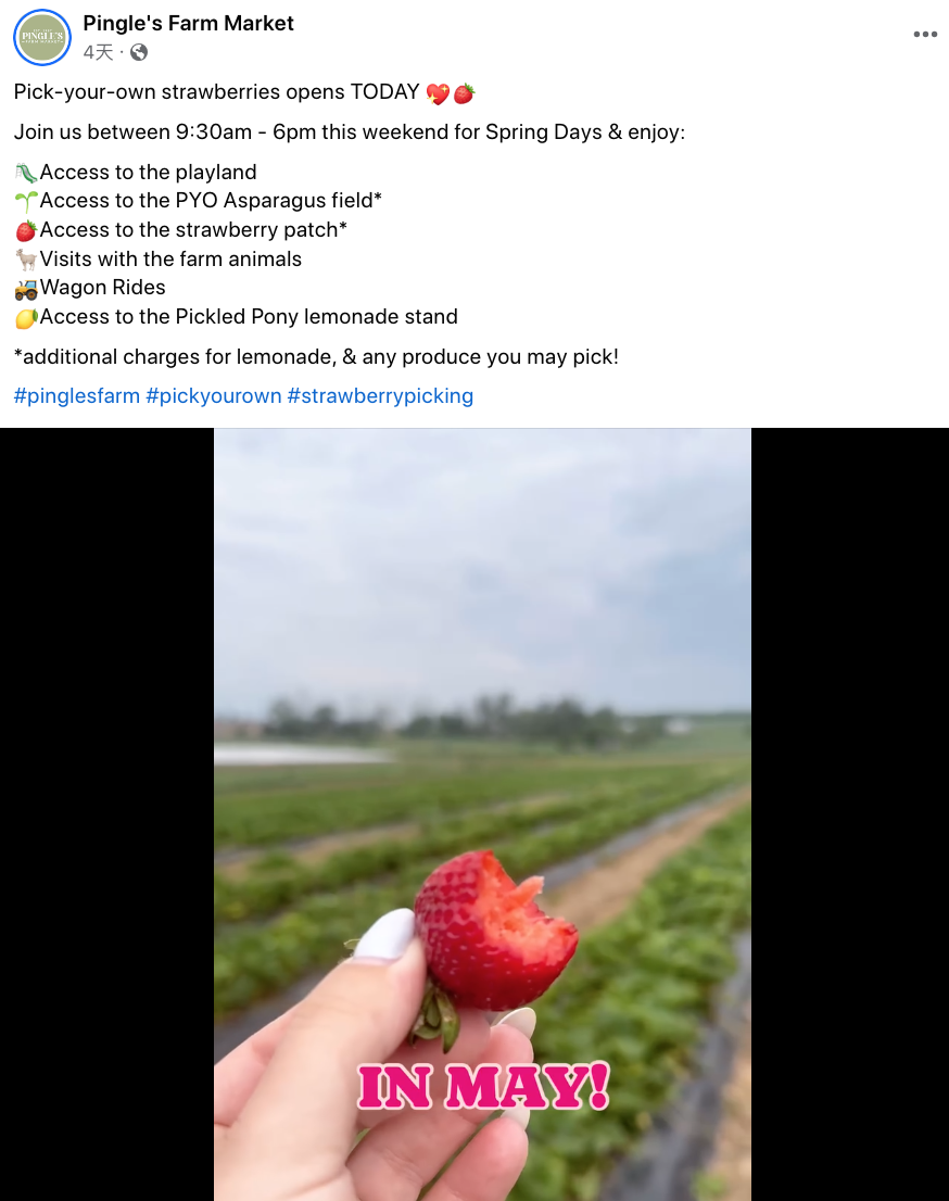 被草莓硬控的6月!盘一盘多伦多摘草莓农场:这谁还分得清是草莓园还是游乐场? 被草莓硬控的6月!盘一盘多伦多摘草莓农场:这谁还分得清是草莓园还是游乐场?