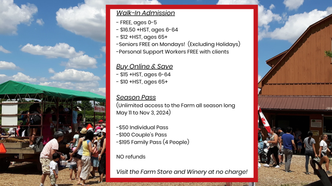 被草莓硬控的6月!盘一盘多伦多摘草莓农场:这谁还分得清是草莓园还是游乐场? 被草莓硬控的6月!盘一盘多伦多摘草莓农场:这谁还分得清是草莓园还是游乐场?