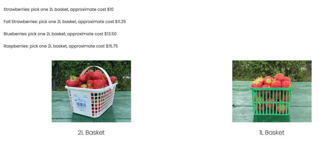 被草莓硬控的6月!盘一盘多伦多摘草莓农场:这谁还分得清是草莓园还是游乐场? 被草莓硬控的6月!盘一盘多伦多摘草莓农场:这谁还分得清是草莓园还是游乐场?