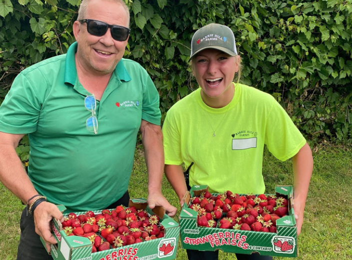 被草莓硬控的6月!盘一盘多伦多摘草莓农场:这谁还分得清是草莓园还是游乐场? 被草莓硬控的6月!盘一盘多伦多摘草莓农场:这谁还分得清是草莓园还是游乐场?