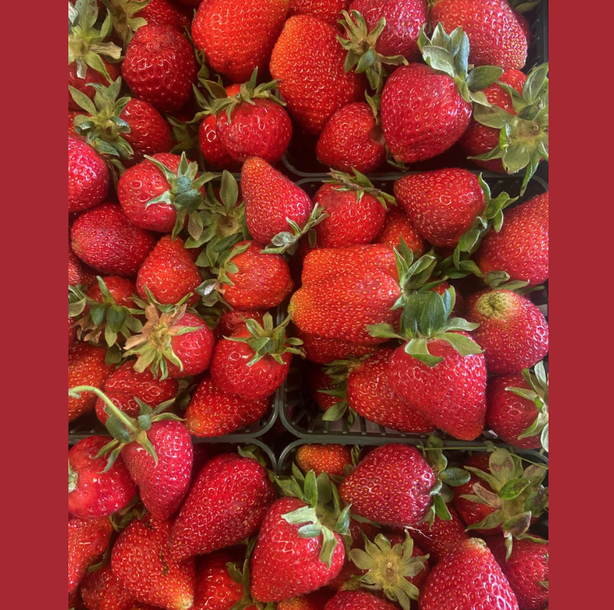 被草莓硬控的6月!盘一盘多伦多摘草莓农场:这谁还分得清是草莓园还是游乐场? 被草莓硬控的6月!盘一盘多伦多摘草莓农场:这谁还分得清是草莓园还是游乐场?