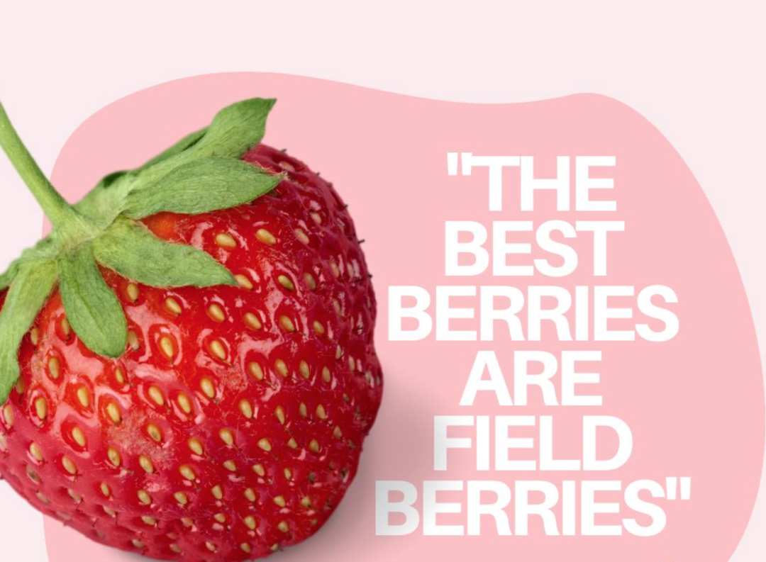 被草莓硬控的6月!盘一盘多伦多摘草莓农场:这谁还分得清是草莓园还是游乐场? 被草莓硬控的6月!盘一盘多伦多摘草莓农场:这谁还分得清是草莓园还是游乐场?