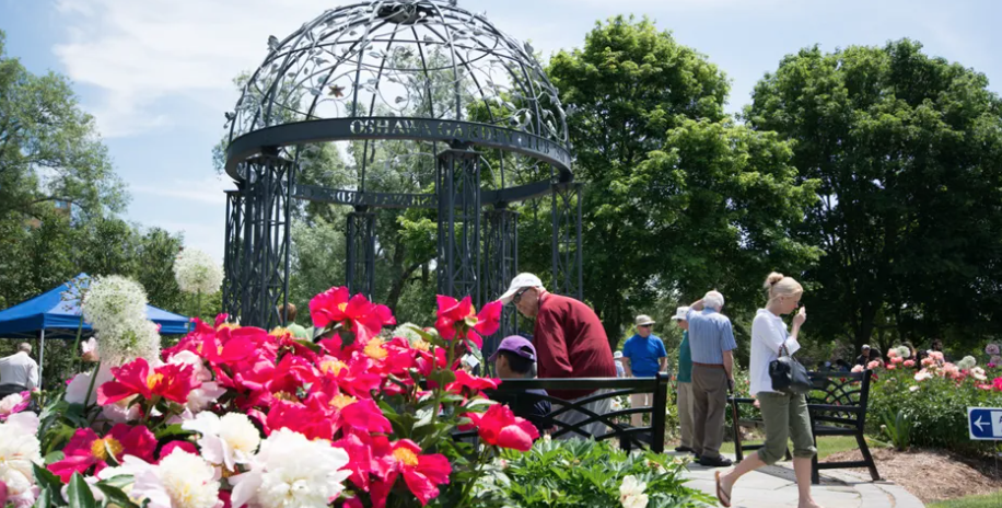 牡丹节!风筝节!美食节!多伦多开启夏季疯玩模式! 牡丹节!风筝节!美食节!多伦多开启夏季疯玩模式!