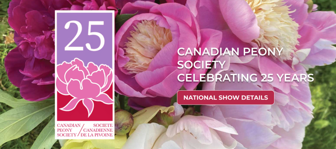 牡丹节!风筝节!美食节!多伦多开启夏季疯玩模式! 牡丹节!风筝节!美食节!多伦多开启夏季疯玩模式!