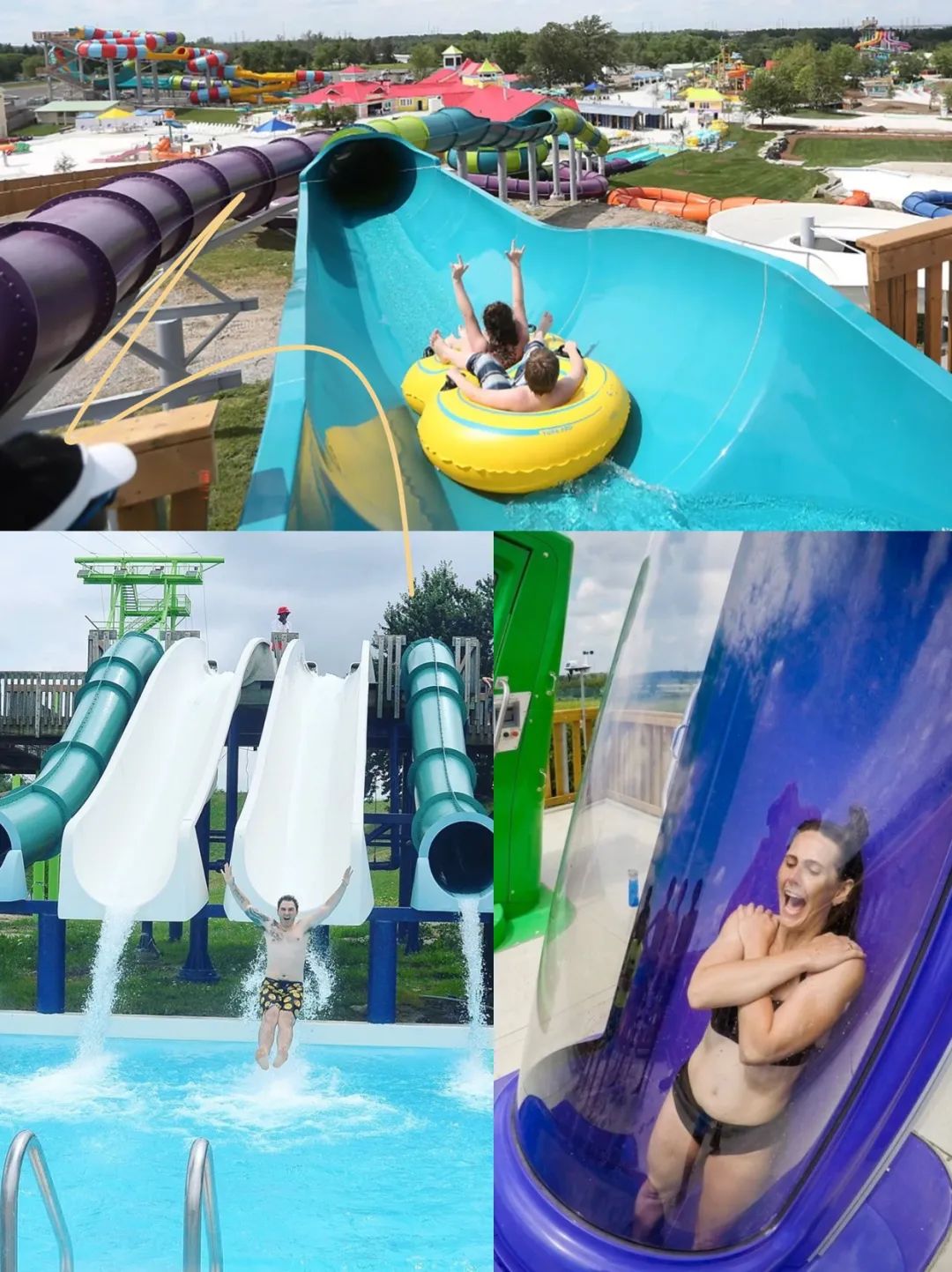 牡丹节!风筝节!美食节!多伦多开启夏季疯玩模式! 牡丹节!风筝节!美食节!多伦多开启夏季疯玩模式!