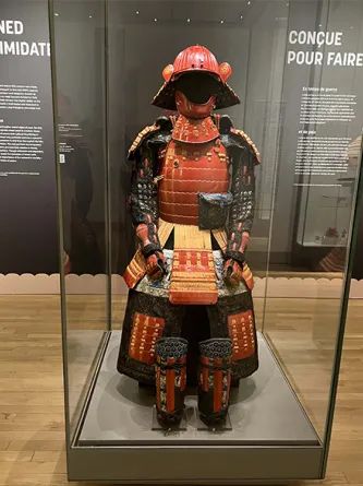 暑假一定要下馆子!限定福利:免费参观ROM安省皇家博物馆 暑假一定要下馆子!限定福利:免费参观ROM安省皇家博物馆