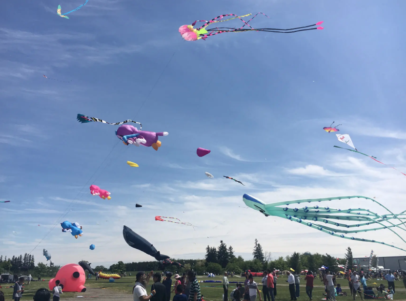 牡丹节!风筝节!美食节!多伦多开启夏季疯玩模式! 牡丹节!风筝节!美食节!多伦多开启夏季疯玩模式!