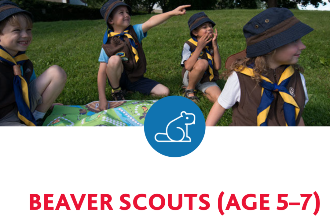 爆改小孩哥小孩姐!Scouts Canada加拿大童子军报名攻略:5岁+的孩子就能参加! 爆改小孩哥小孩姐!Scouts Canada加拿大童子军报名攻略:5岁+的孩子就能参加!