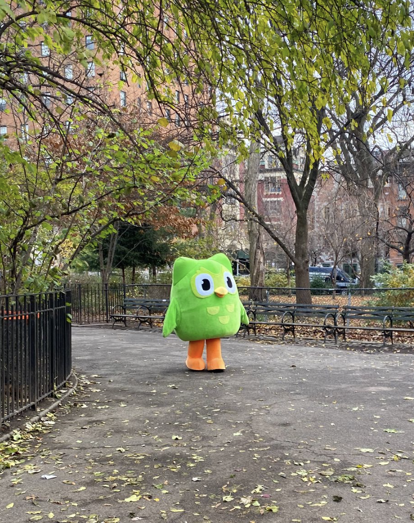 阴阳每一个不爱学习的人！学外语神器Duolingo：我的赛博班主任