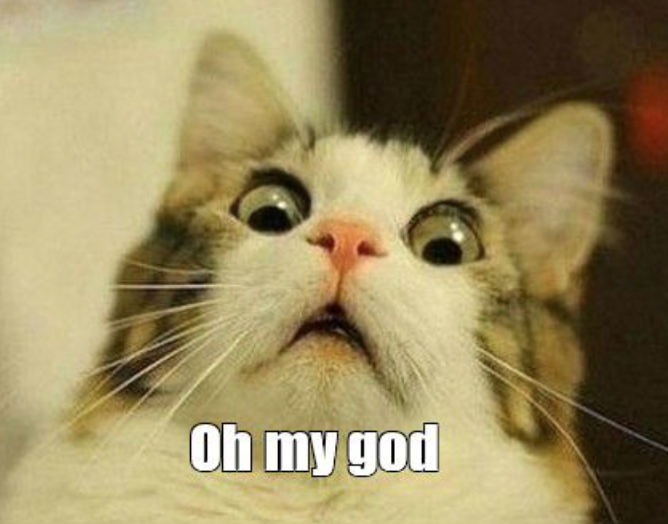 牡丹节!风筝节!美食节!多伦多开启夏季疯玩模式! 牡丹节!风筝节!美食节!多伦多开启夏季疯玩模式!