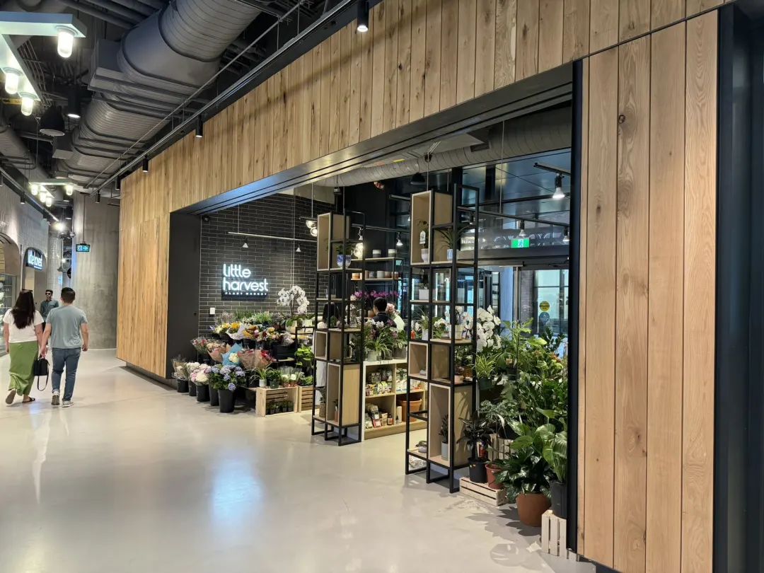 City不City啊~多伦多网红打卡新地标The Well：城市街溜子暴走传说中的“三里屯”