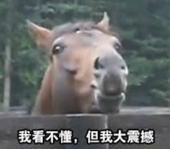 大瓜！生娃狂魔马斯克又和女下属生孩子了：扒一扒这12个孩子和3个妈