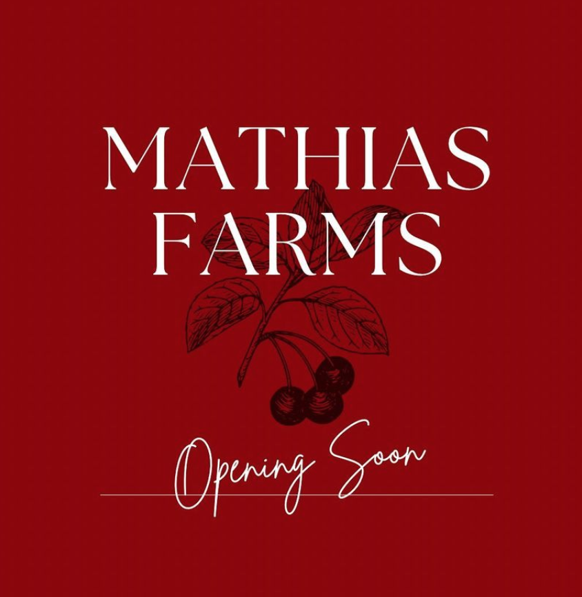 不踩雷！多伦多周边5个谷歌评分4分+的摘樱桃果园：哪家采摘体验感最佳？