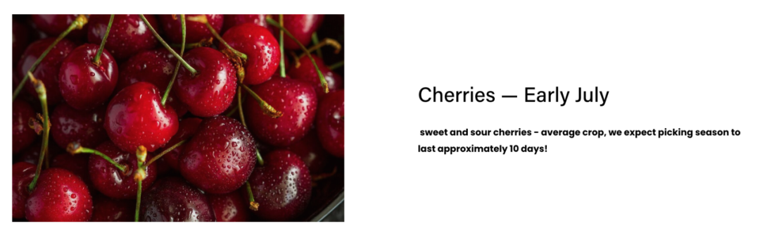 不踩雷！多伦多周边5个谷歌评分4分+的摘樱桃果园：哪家采摘体验感最佳？