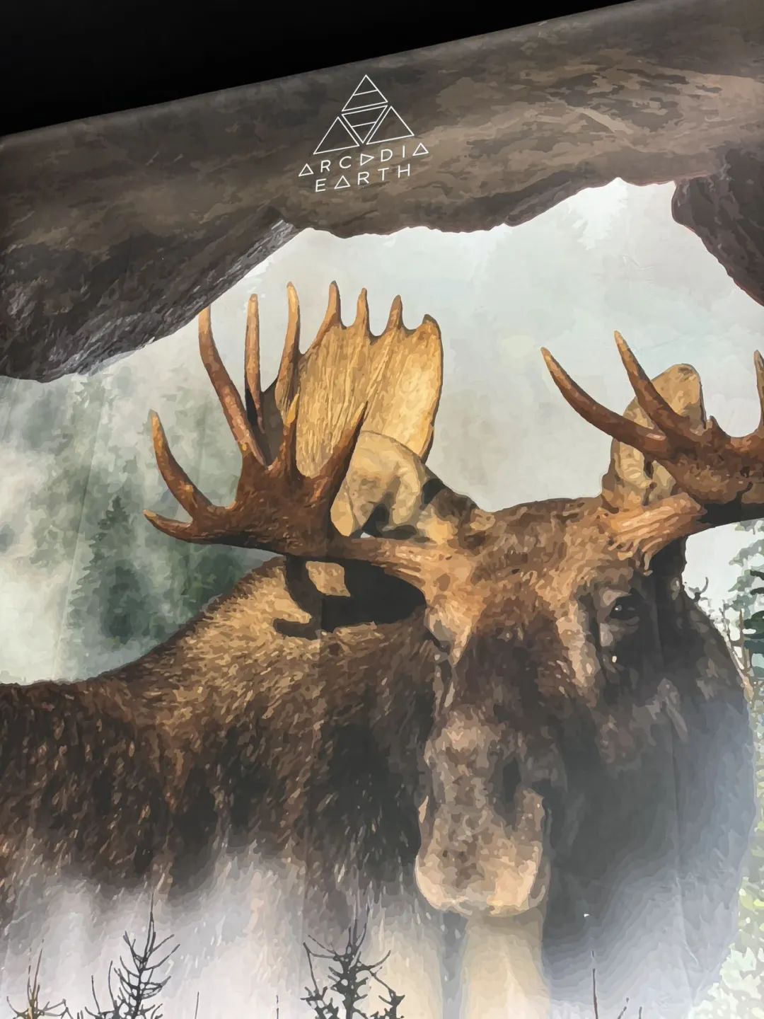 City不City啊~多伦多网红打卡新地标The Well：城市街溜子暴走传说中的“三里屯”